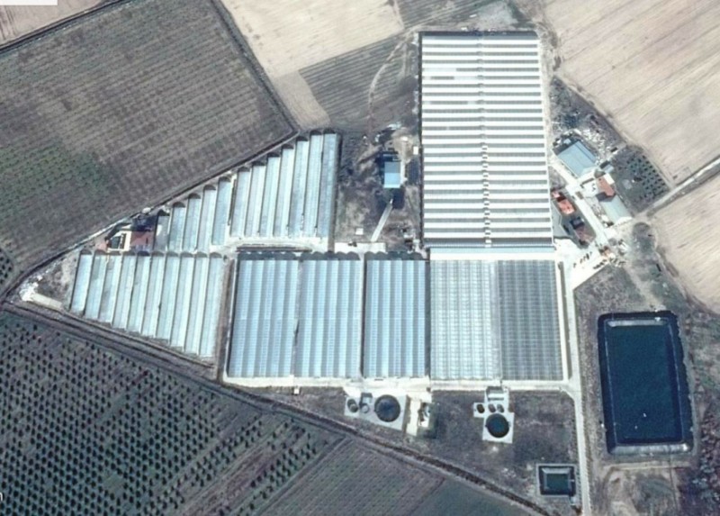 İzmir Sera Projesi (20.000 m²)
