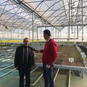 Modern Sera Sistemleri: Anahtar Teslim Sera Sistemleri