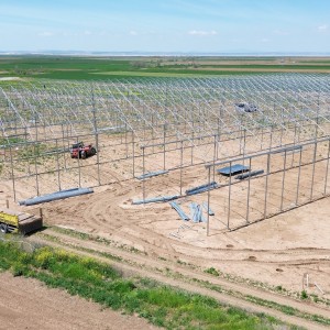 Modern Sera Sistemleri: Anahtar Teslim Sera Sistemleri