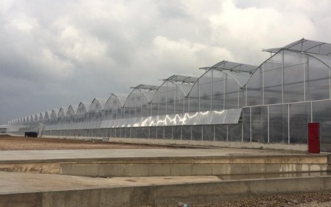 Süs Bitkileri Serası