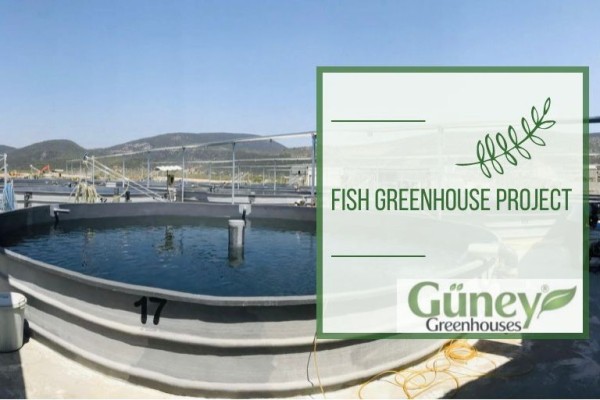 Modern Sera Sistemleri: Anahtar Teslim Sera Sistemleri