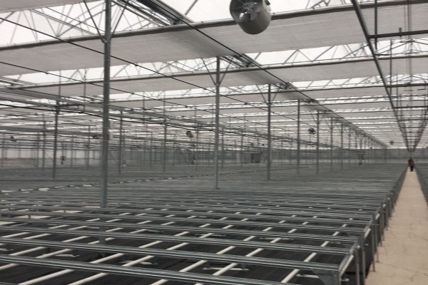 Modern Sera Sistemleri: Anahtar Teslim Sera Sistemleri