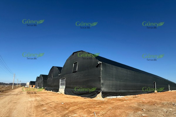 Modern Sera Sistemleri: Anahtar Teslim Sera Sistemleri