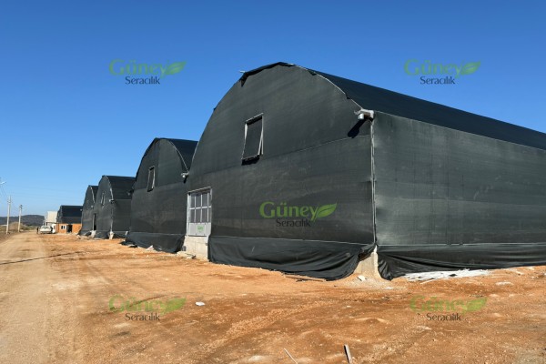 Modern Sera Sistemleri: Anahtar Teslim Sera Sistemleri