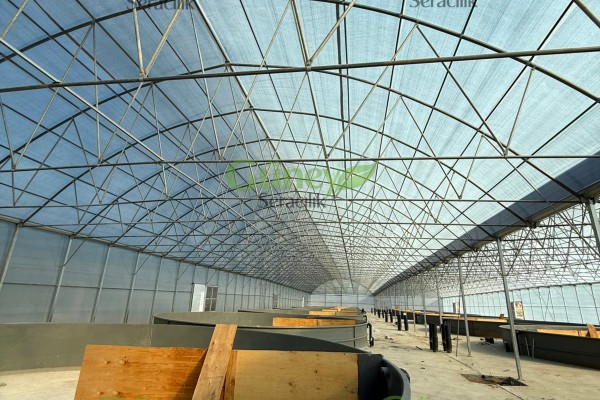 Modern Sera Sistemleri: Anahtar Teslim Sera Sistemleri