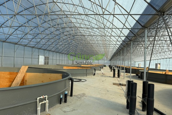 Modern Sera Sistemleri: Anahtar Teslim Sera Sistemleri