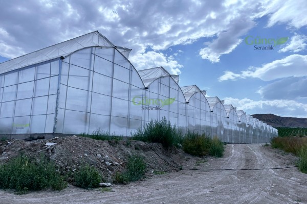 Modern Sera Sistemleri: Anahtar Teslim Sera Sistemleri