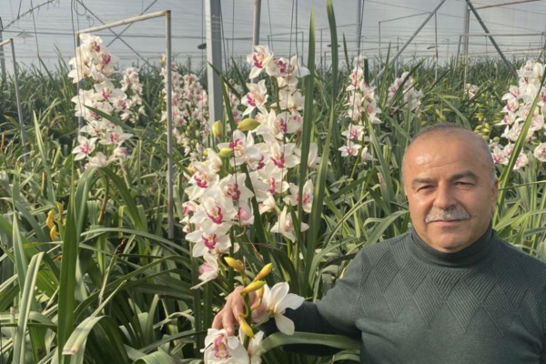 Modern Sera Sistemleri: Anahtar Teslim Sera Sistemleri