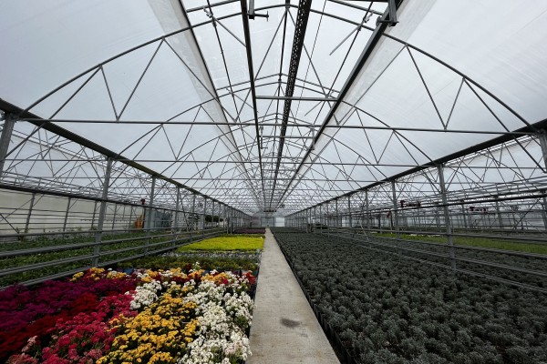 Modern Sera Sistemleri: Anahtar Teslim Sera Sistemleri