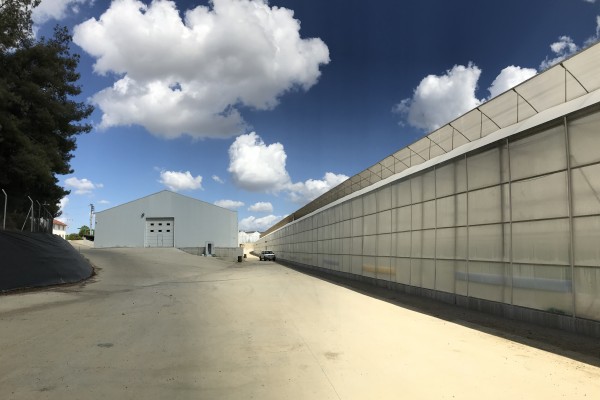 Modern Sera Sistemleri: Anahtar Teslim Sera Sistemleri