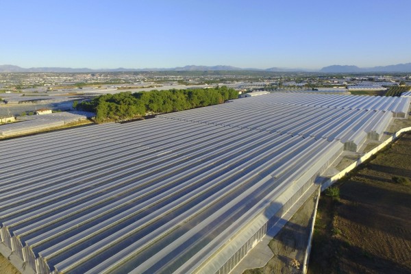 Modern Sera Sistemleri: Anahtar Teslim Sera Sistemleri