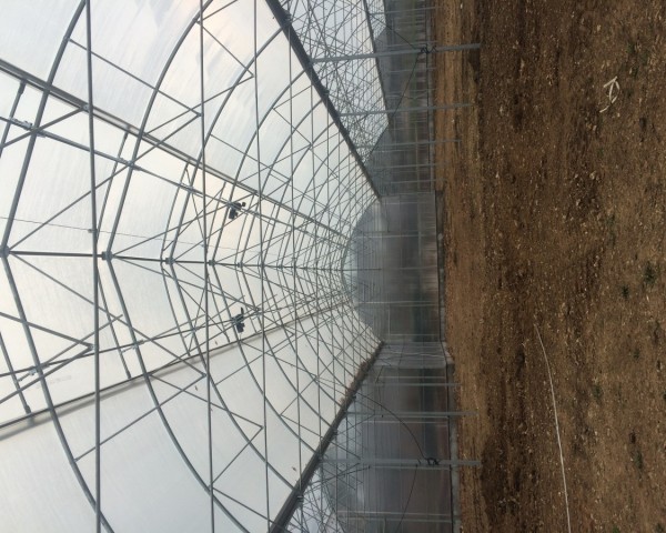 Modern Sera Sistemleri: Anahtar Teslim Sera Sistemleri