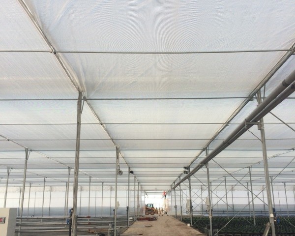 Modern Sera Sistemleri: Anahtar Teslim Sera Sistemleri