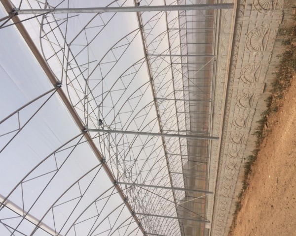 Modern Sera Sistemleri: Anahtar Teslim Sera Sistemleri