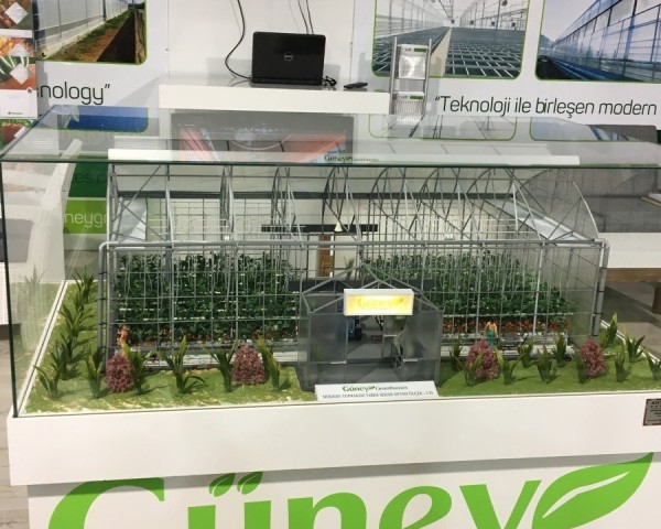 Modern Sera Sistemleri: Anahtar Teslim Sera Sistemleri