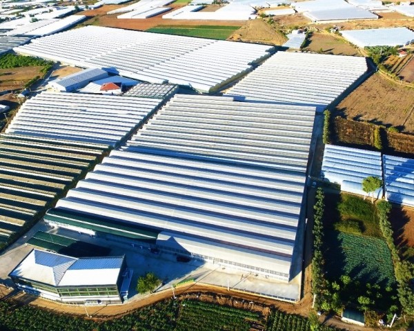 Modern Sera Sistemleri: Anahtar Teslim Sera Sistemleri