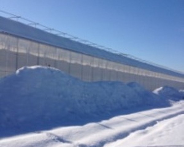 Modern Sera Sistemleri: Anahtar Teslim Sera Sistemleri