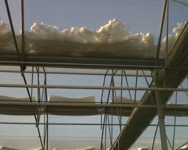 Modern Sera Sistemleri: Anahtar Teslim Sera Sistemleri