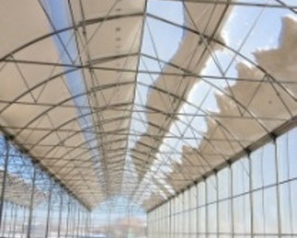 Modern Sera Sistemleri: Anahtar Teslim Sera Sistemleri