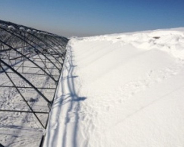 Modern Sera Sistemleri: Anahtar Teslim Sera Sistemleri