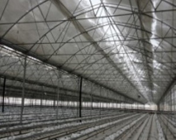 Modern Sera Sistemleri: Anahtar Teslim Sera Sistemleri