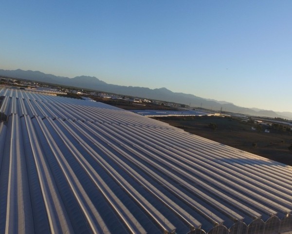 Modern Sera Sistemleri: Anahtar Teslim Sera Sistemleri